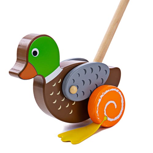 Duck Push Along - Growing Minds Pick
